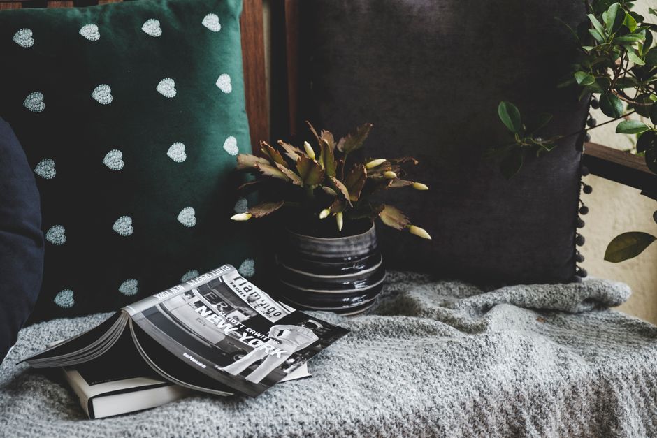 An inviting indoor space with books, plants, and cozy cushions. Perfect for relaxation and comfort.